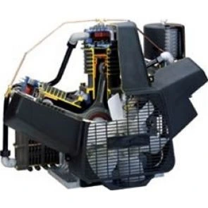 Oilless Piston Pumps