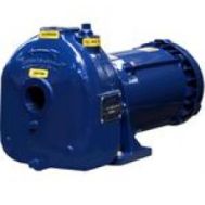 Gorman-Rupp Self-Priming Centrifugal Pump Coupled To Explosion Proof Motor - 1.5